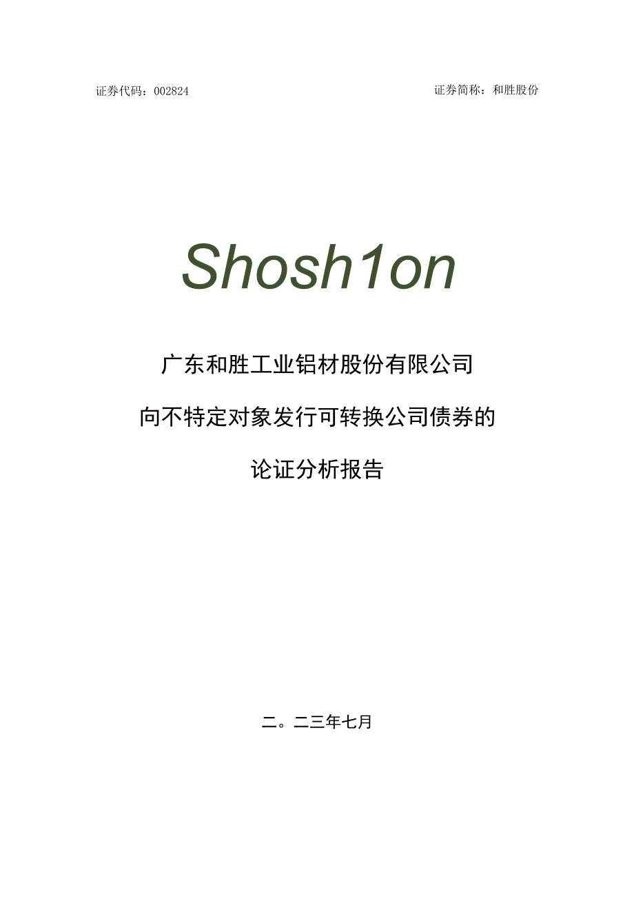 和胜股份：向不特定对象发行可转换公司债券的论证分析报告.docx_第1页