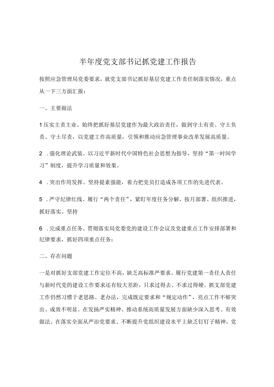 半年度党支部书记抓党建工作报告.docx_第1页