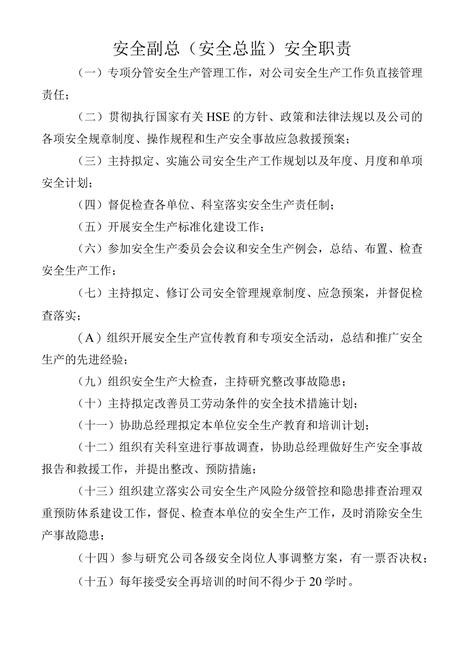 安全副总（安全总监）安全职责.docx_第1页