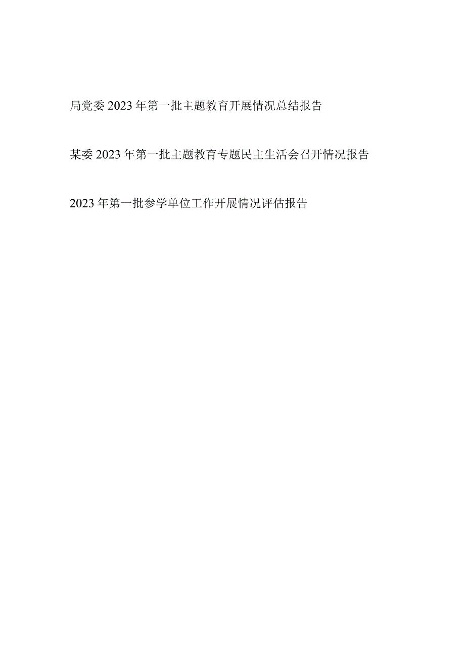 局党委2023年第一批主题教育开展召开情况总结报告3篇（含专题民主生活会）.docx_第1页