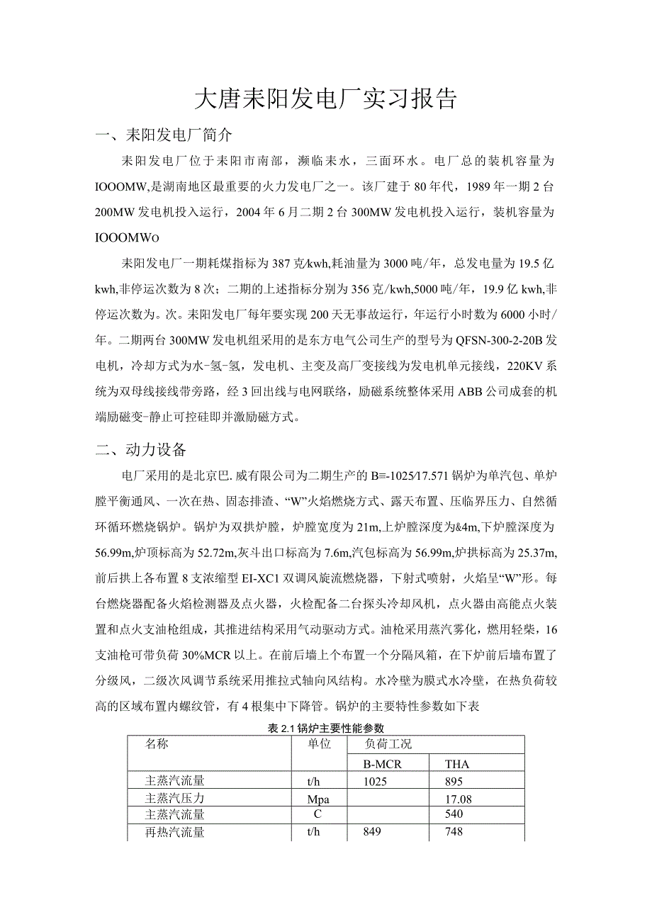 大唐耒阳发电厂实习报告.docx_第1页