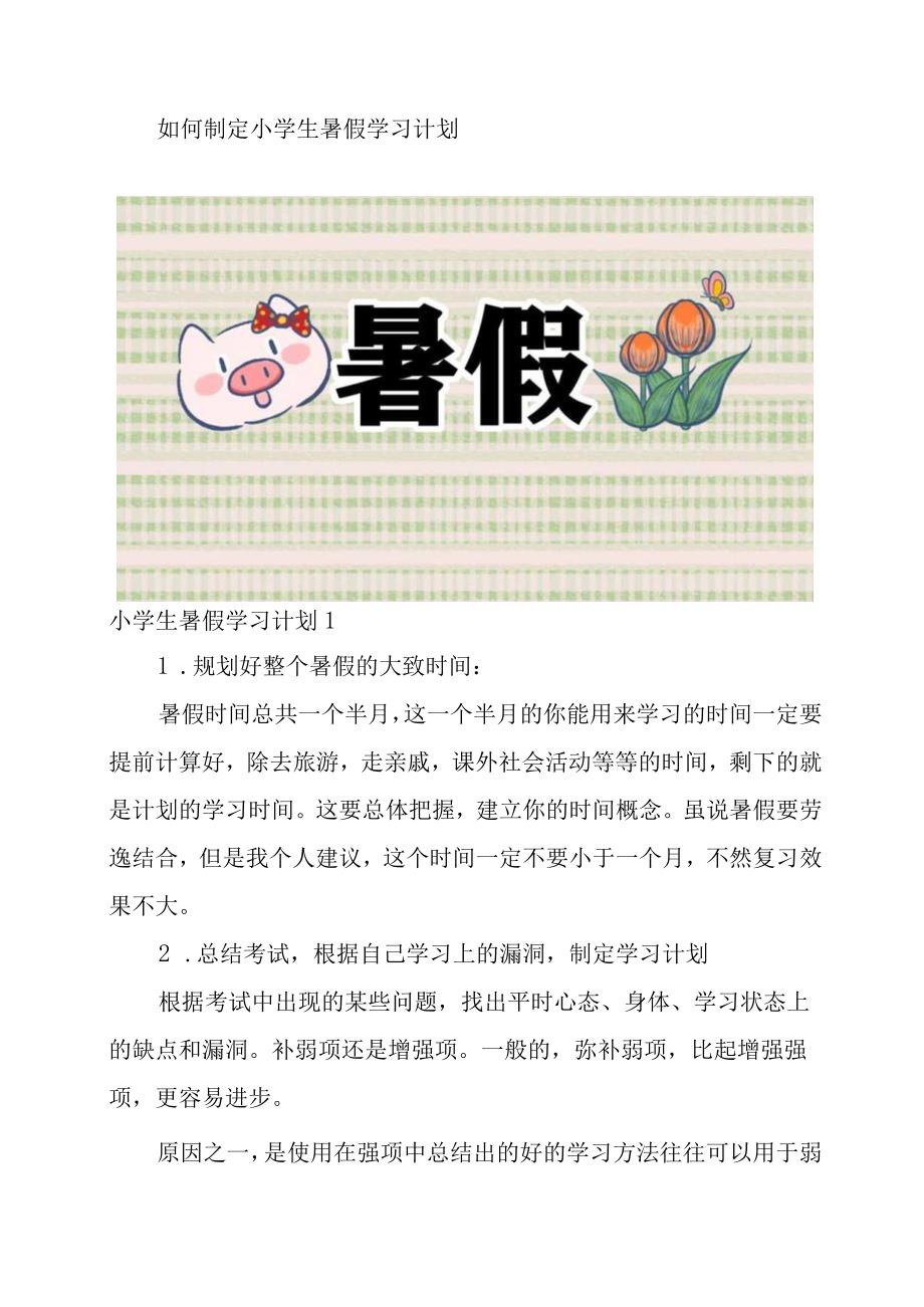 如何制定小学生暑假学习计划.docx_第1页