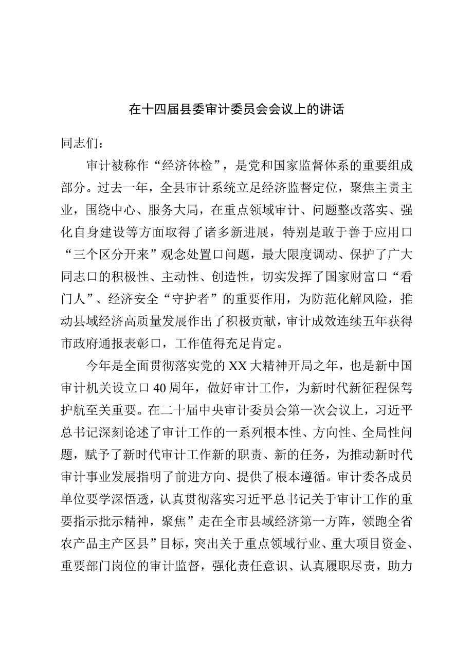 在县委审计委员会会议上的讲话.docx_第1页