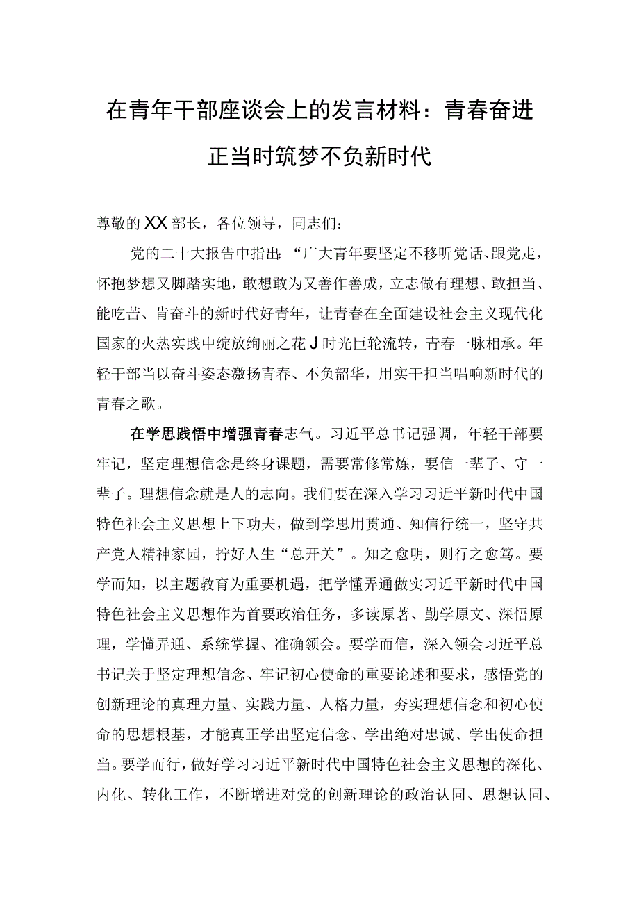 在青年干部座谈会上的发言材料：青春奋进正当时+筑梦不负新时代.docx_第1页