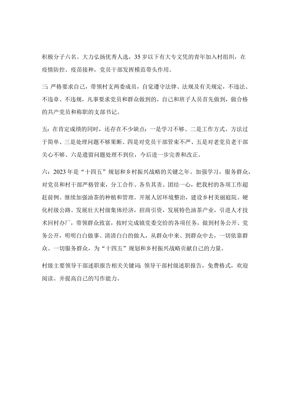 村级主要领导干部述职报告.docx_第2页