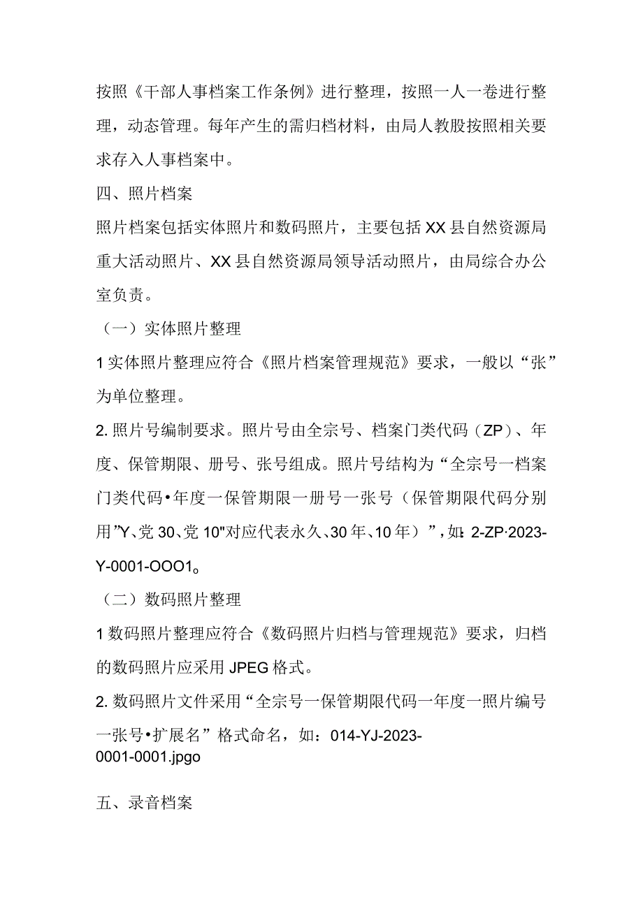 有关某县自然资源局档案分类方案.docx_第2页