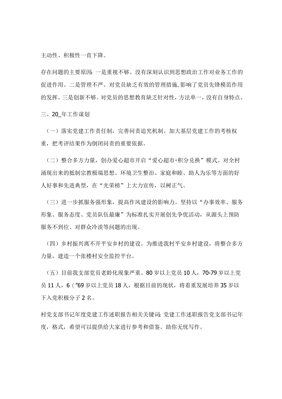 村党支部书记年度党建工作述职报告.docx_第2页