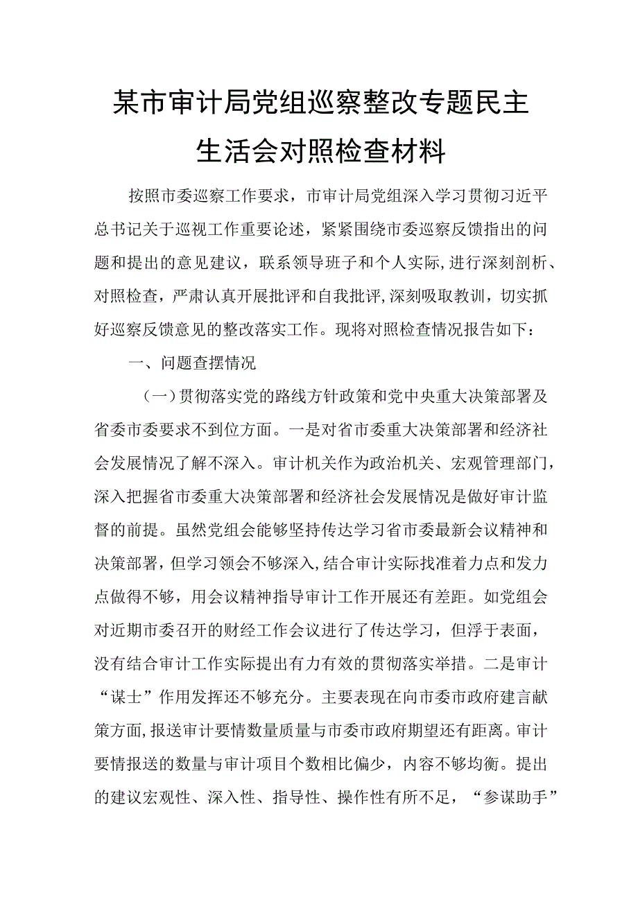 某市审计局党组巡察整改专题民主生活会对照检查材料.docx_第1页