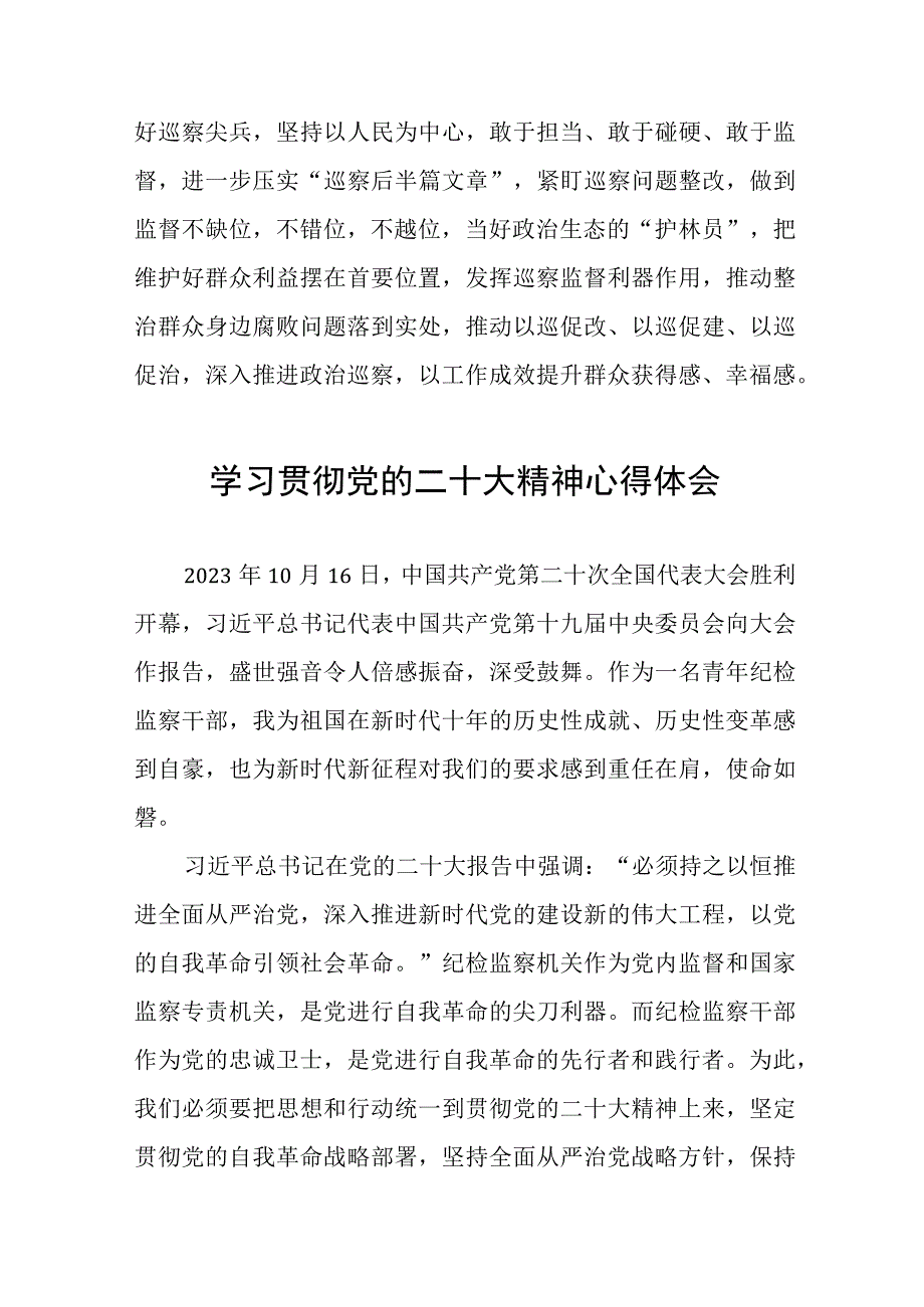 派驻纪检监察干部学习贯彻二十大精神心得感悟(十五篇).docx_第2页