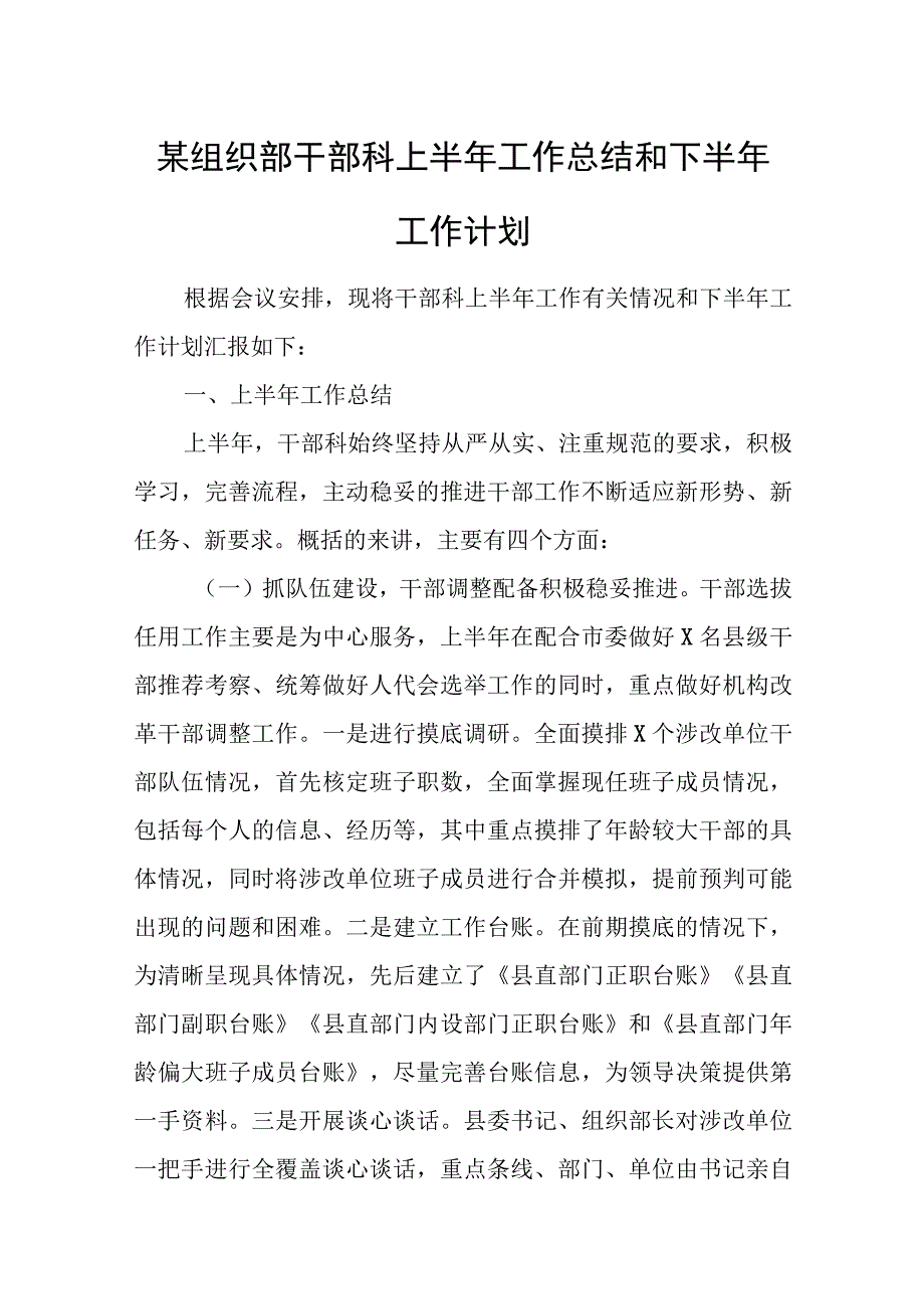 某组织部干部科上半年工作总结和下半年工作计划.docx_第1页