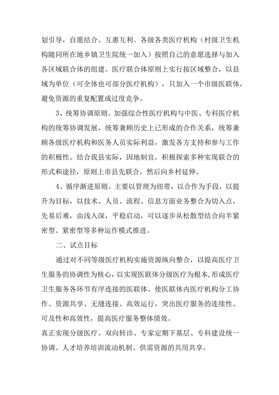 县中医院区域医疗联合体试点工作方案.docx_第2页