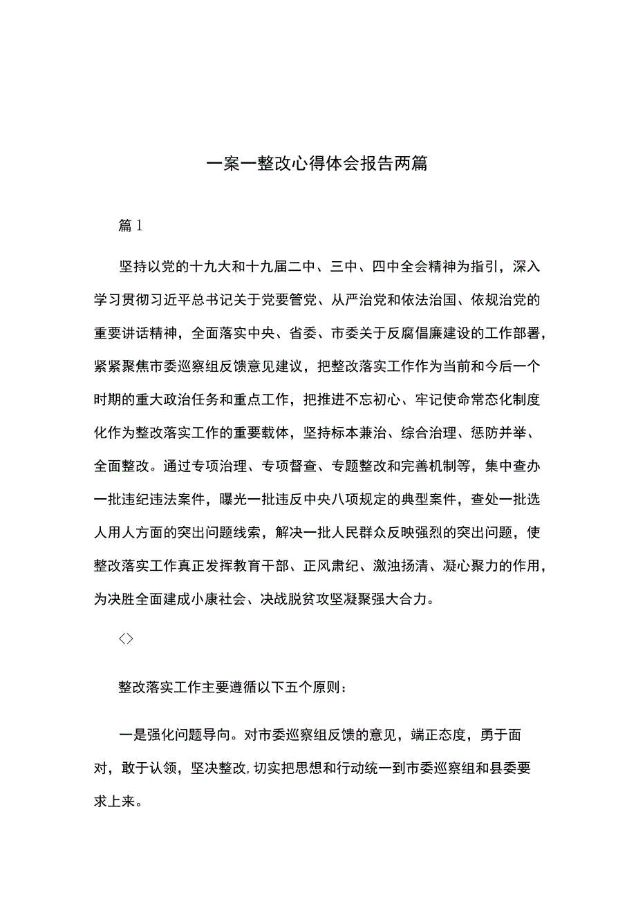 一案一整改心得体会报告两篇.docx_第1页