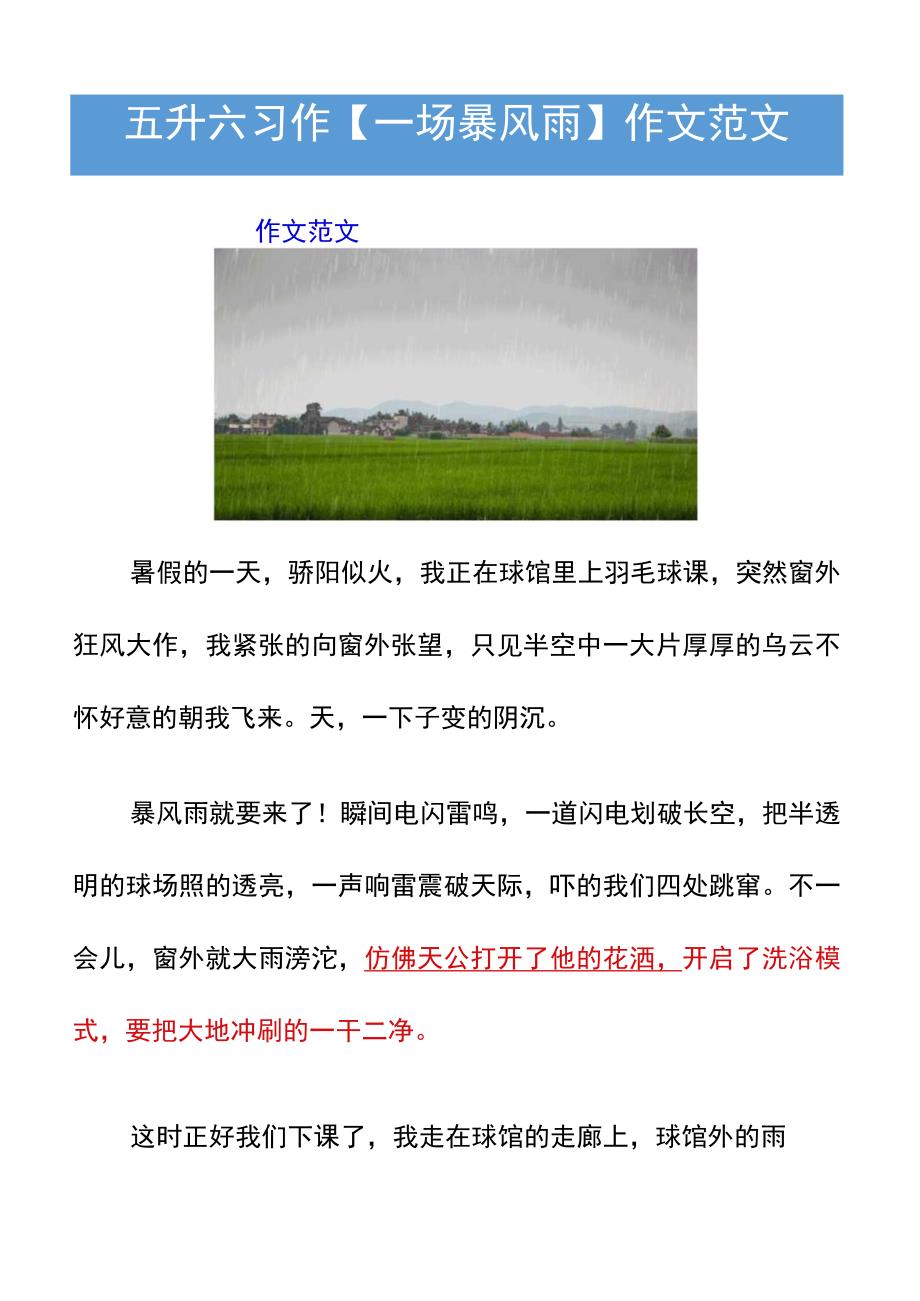 五升六习作【一场暴风雨】作文范文.docx_第1页