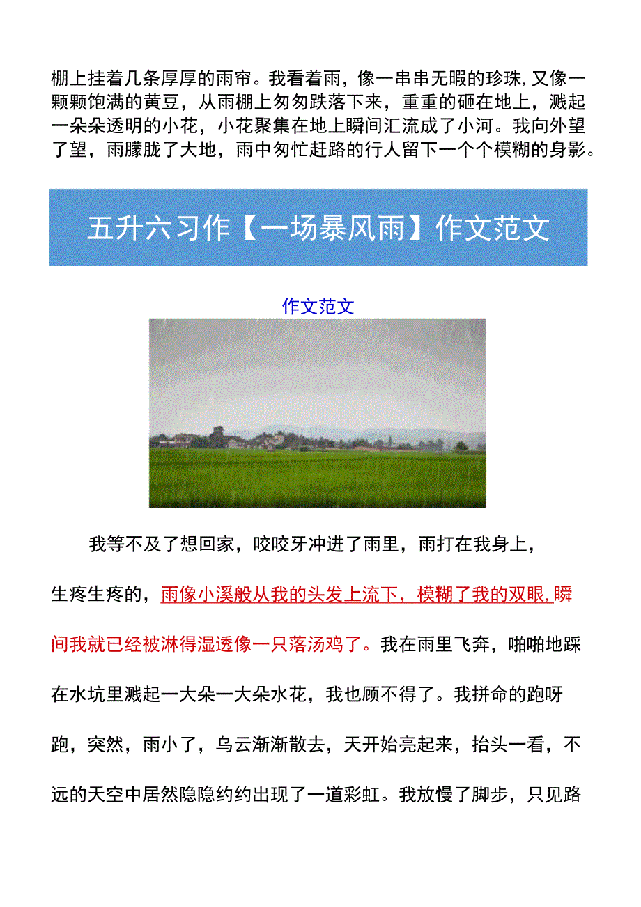 五升六习作【一场暴风雨】作文范文.docx_第2页