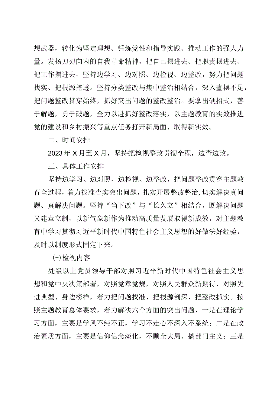 主题教育问题整改整治工作实施方案（检视）.docx_第2页