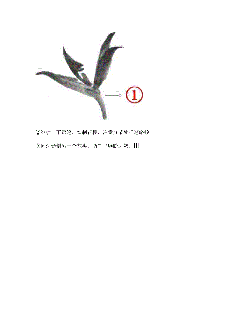 写意鹤望兰的画法.docx_第2页