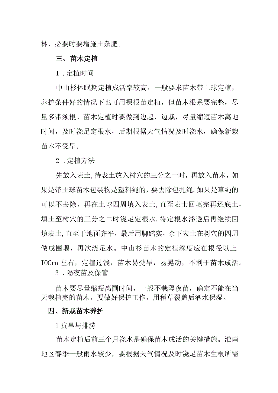 中山杉造林关键技术.docx_第3页