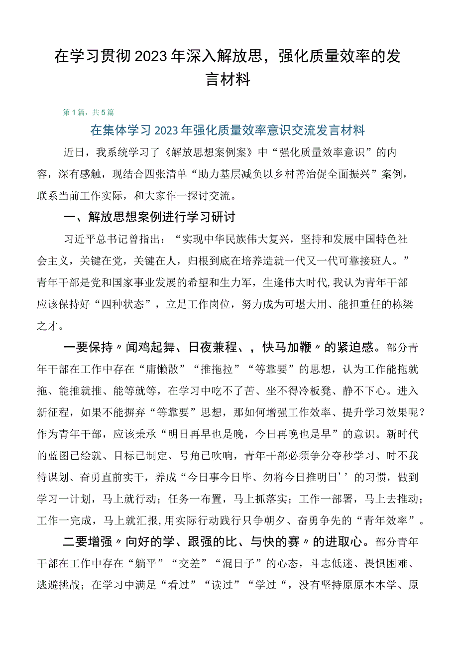 在学习贯彻2023年深入解放思强化质量效率的发言材料.docx_第1页