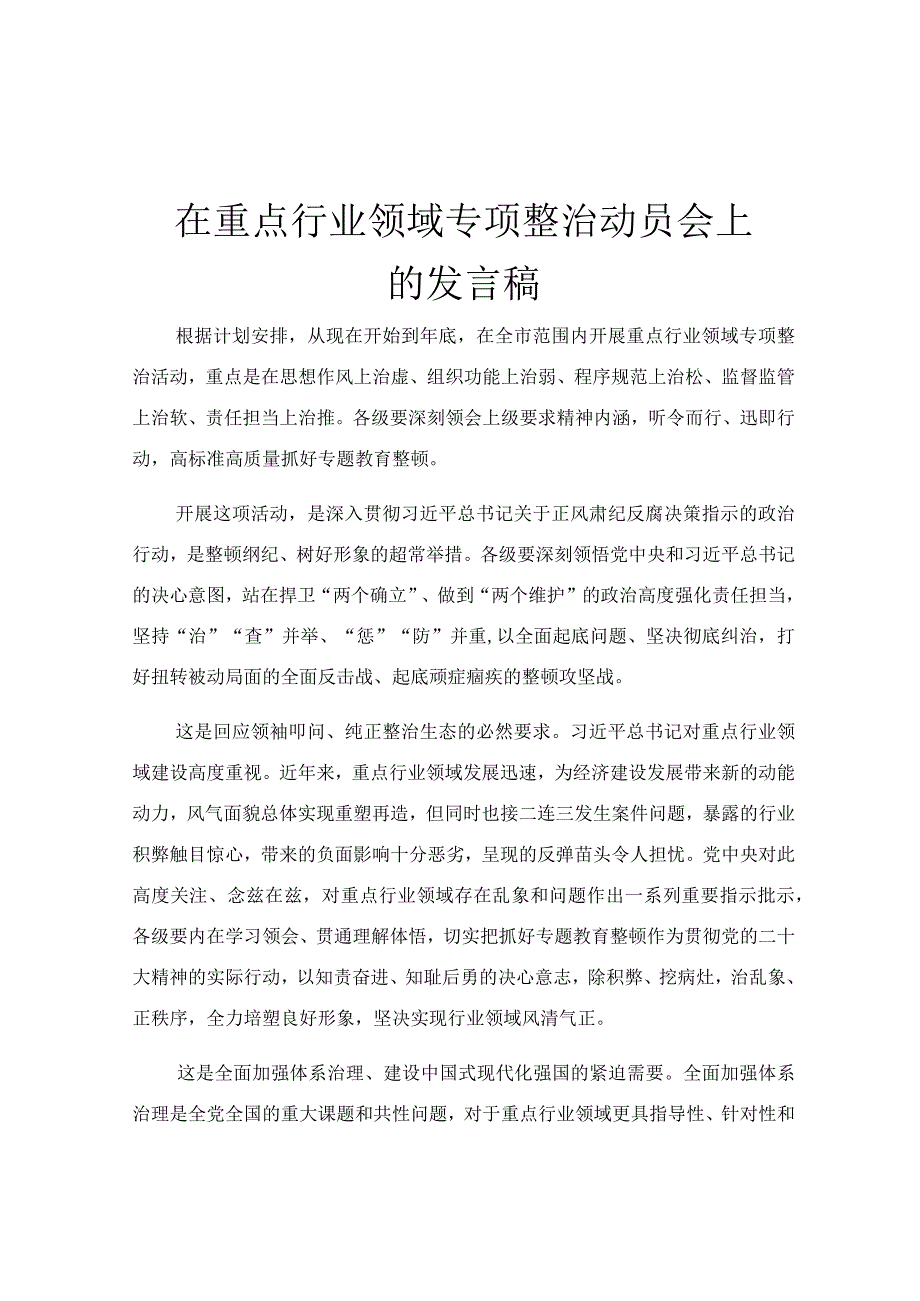 在重点行业领域专项整治动员会上的发言稿.docx_第1页