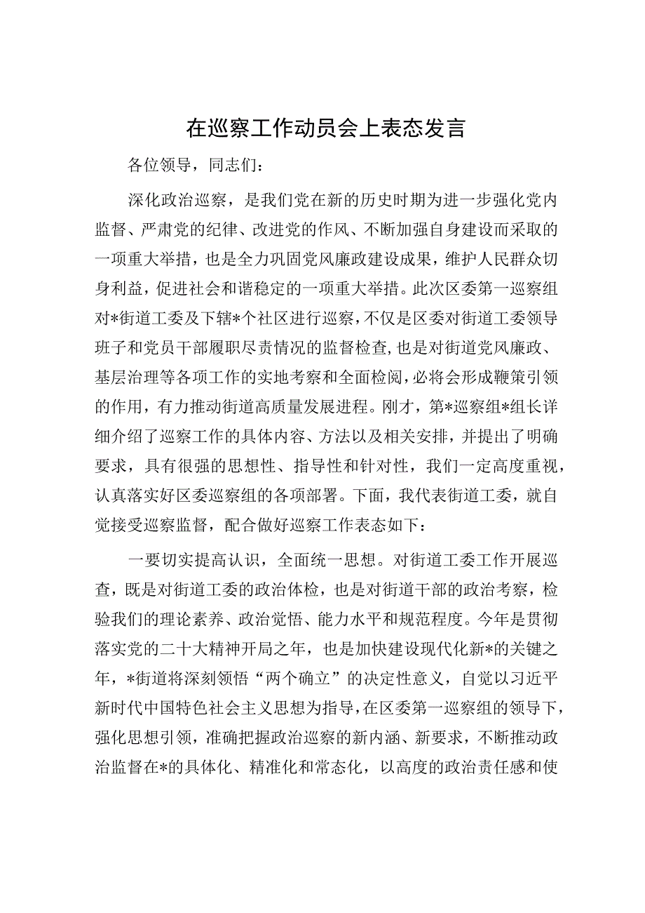 在巡察工作动员会上表态发言.docx_第1页