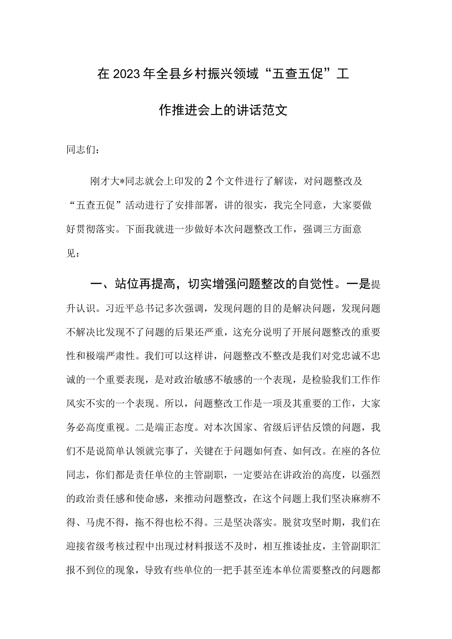 在2023年全县乡村振兴领域“五查五促”工作推进会上的讲话范文.docx_第1页