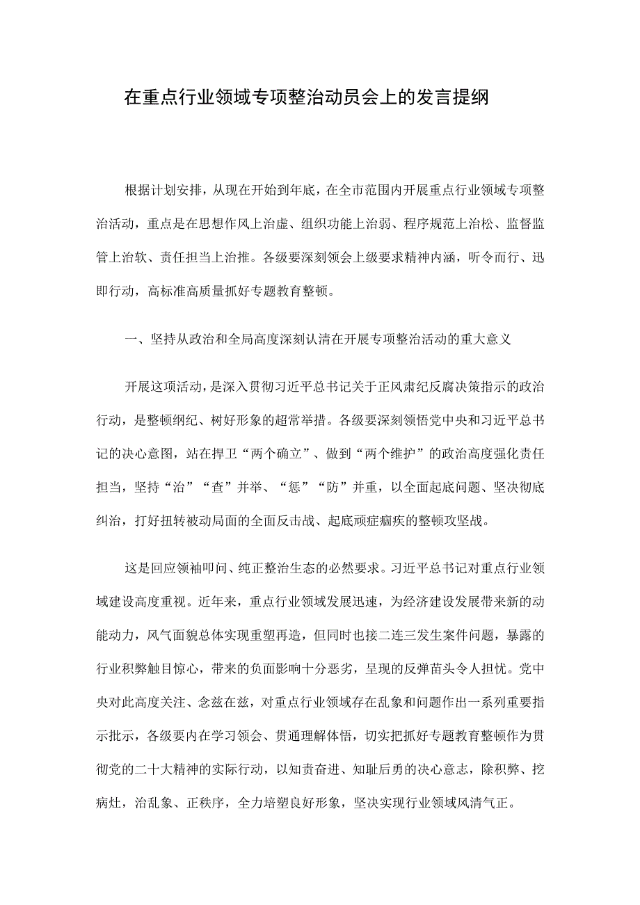 在重点行业领域专项整治动员会上的发言提纲.docx_第1页