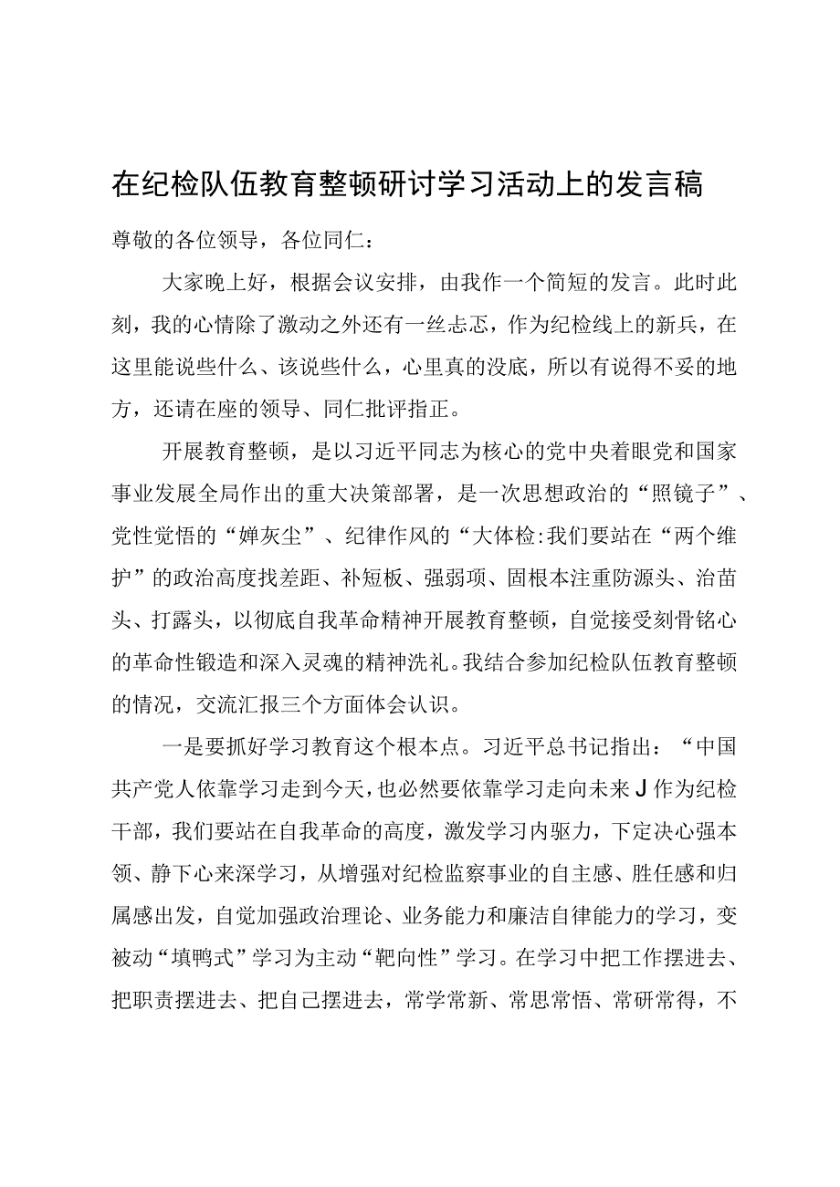 在纪检队伍教育整顿研讨学习活动上的发言稿.docx_第1页