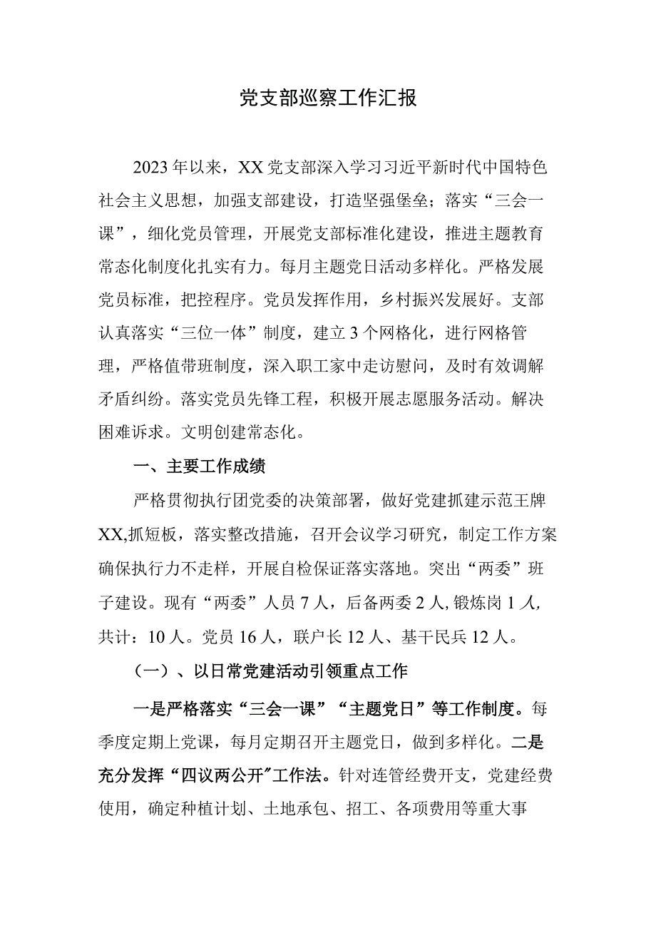 巡察支部工作汇报.docx_第1页