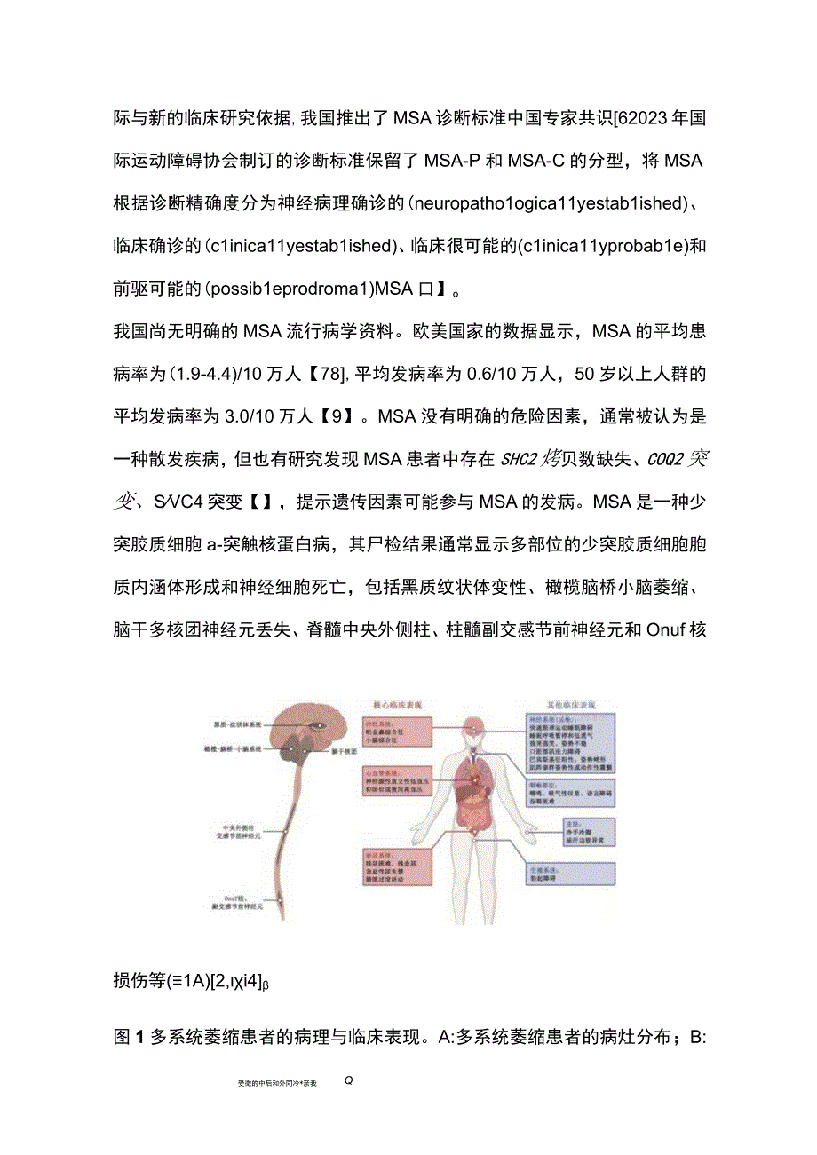 最新：多系统萎缩诊断标准中国专家共识（2022）.docx_第2页