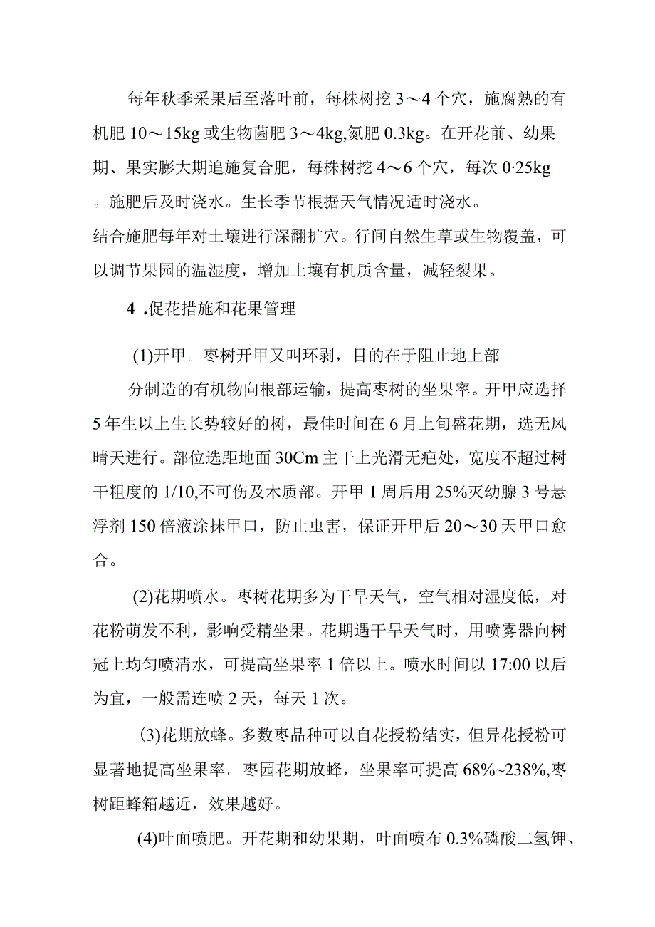 红丹脆枣高效栽培管理技术.docx_第3页