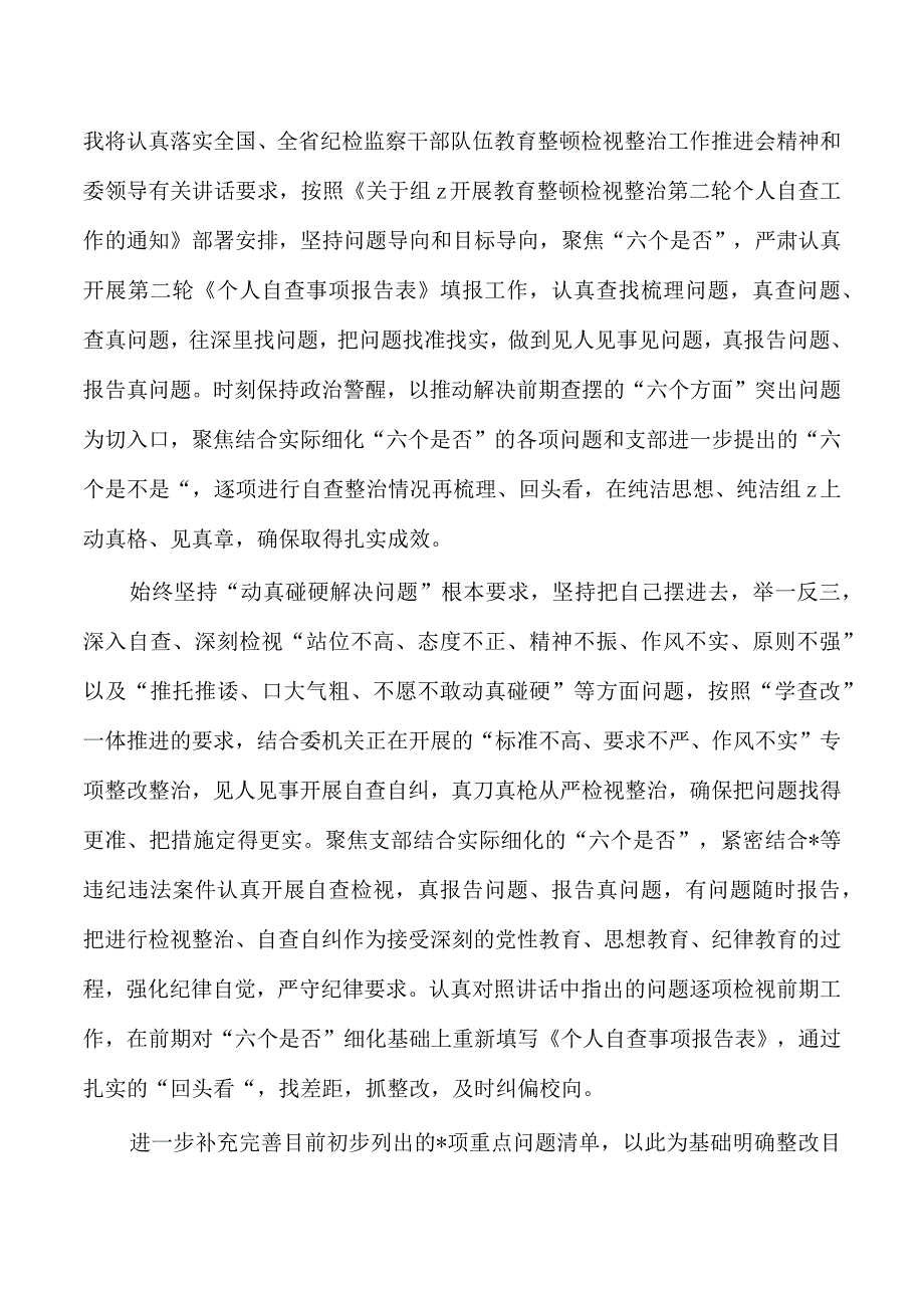 纪检整顿检视发言学习体会.docx_第3页