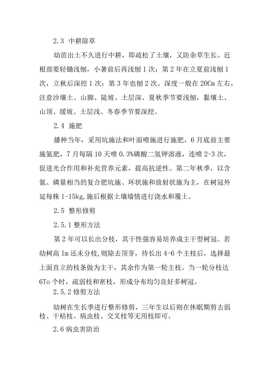 油桐石质山造林技术措施.docx_第3页