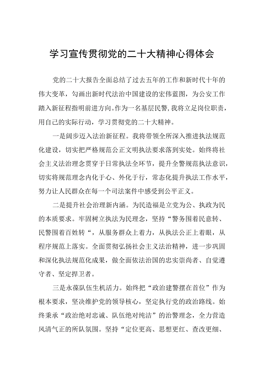 治安大队大队长学习党的二十大精神心得体会五篇.docx_第1页