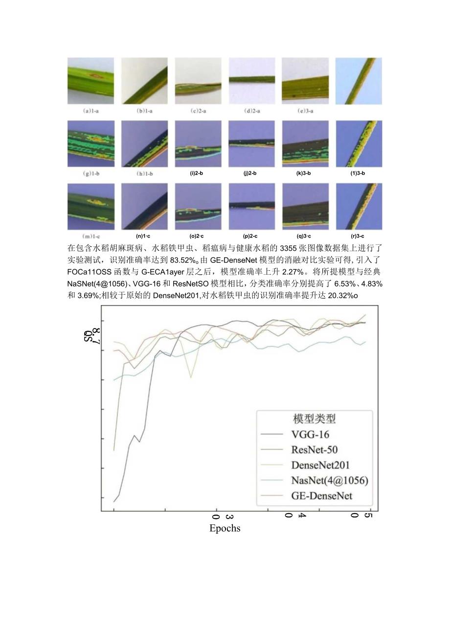 水稻病虫害识别方法科研进展.docx_第3页