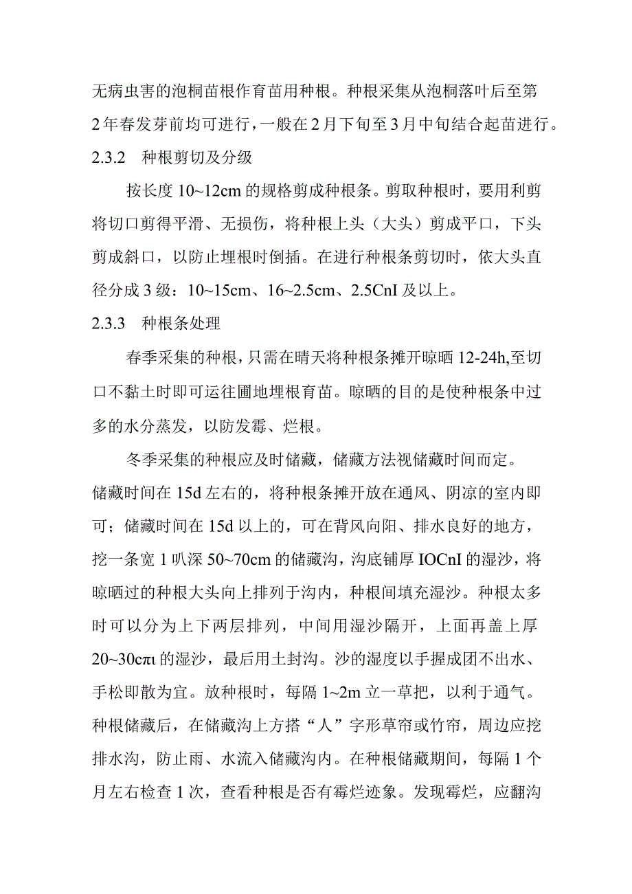 泡桐埋根育苗技术.docx_第3页