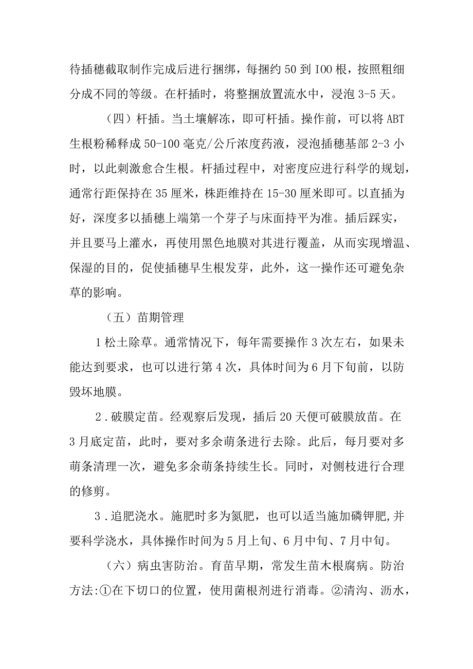 杨树育苗和病虫害防治技术.docx_第2页