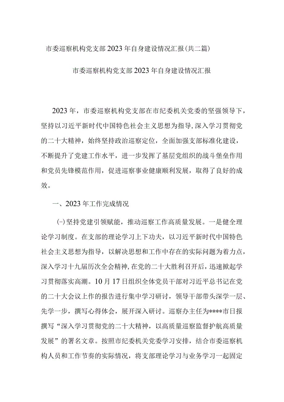 市委巡察机构党支部2022年自身建设情况汇报(共二篇).docx_第1页