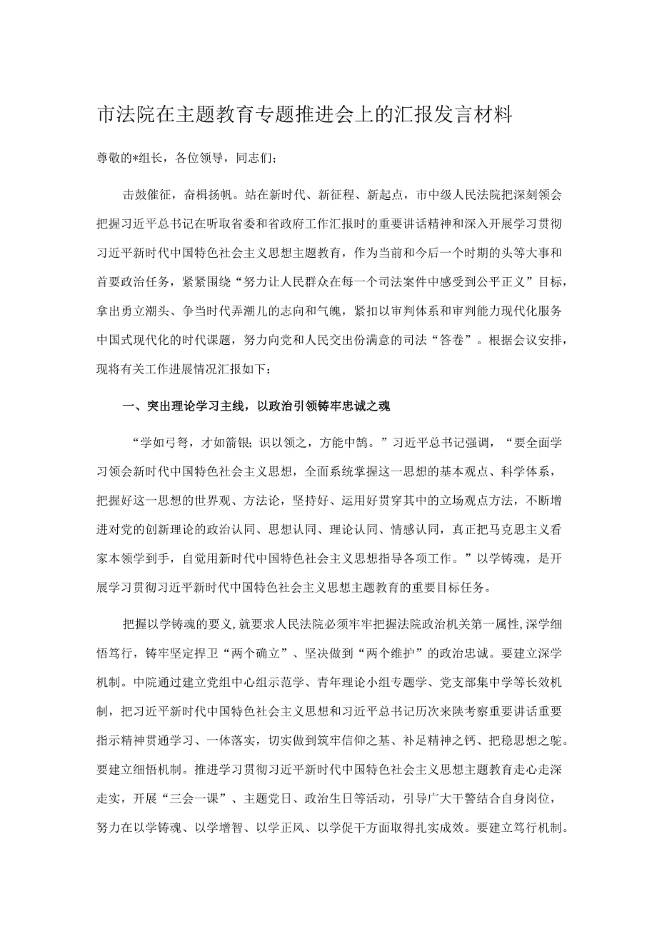 市法院在主题教育专题推进会上的汇报发言材料.docx_第1页