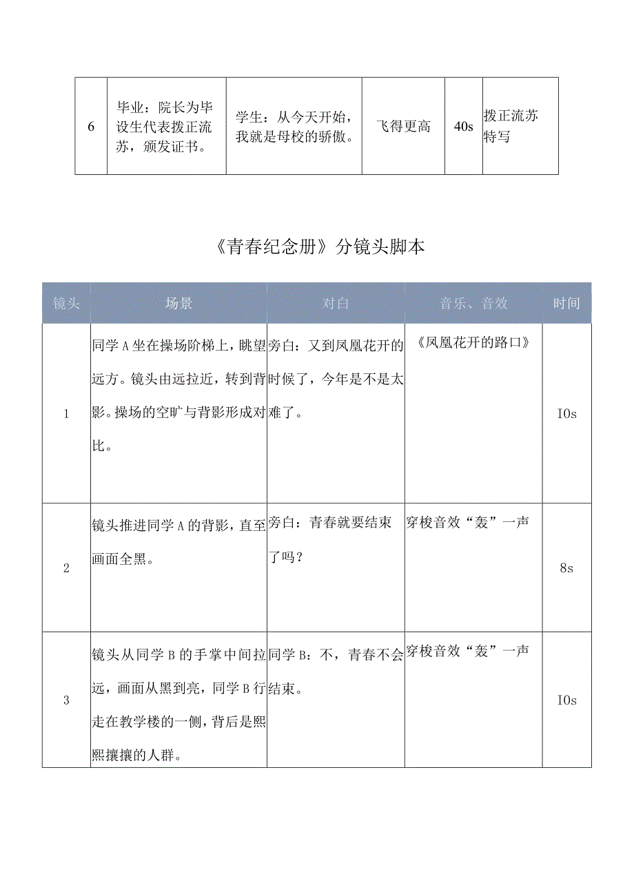 视频分镜头拍摄脚本-5份.docx_第2页