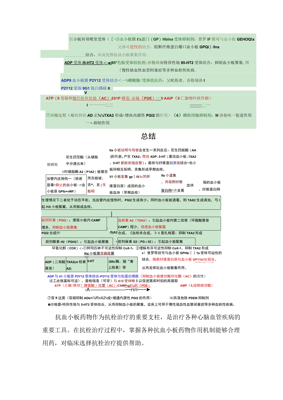 血小板血栓形成、抗血小板药物种类、血栓形成过程与抗板药作用机制及要点总结.docx_第3页