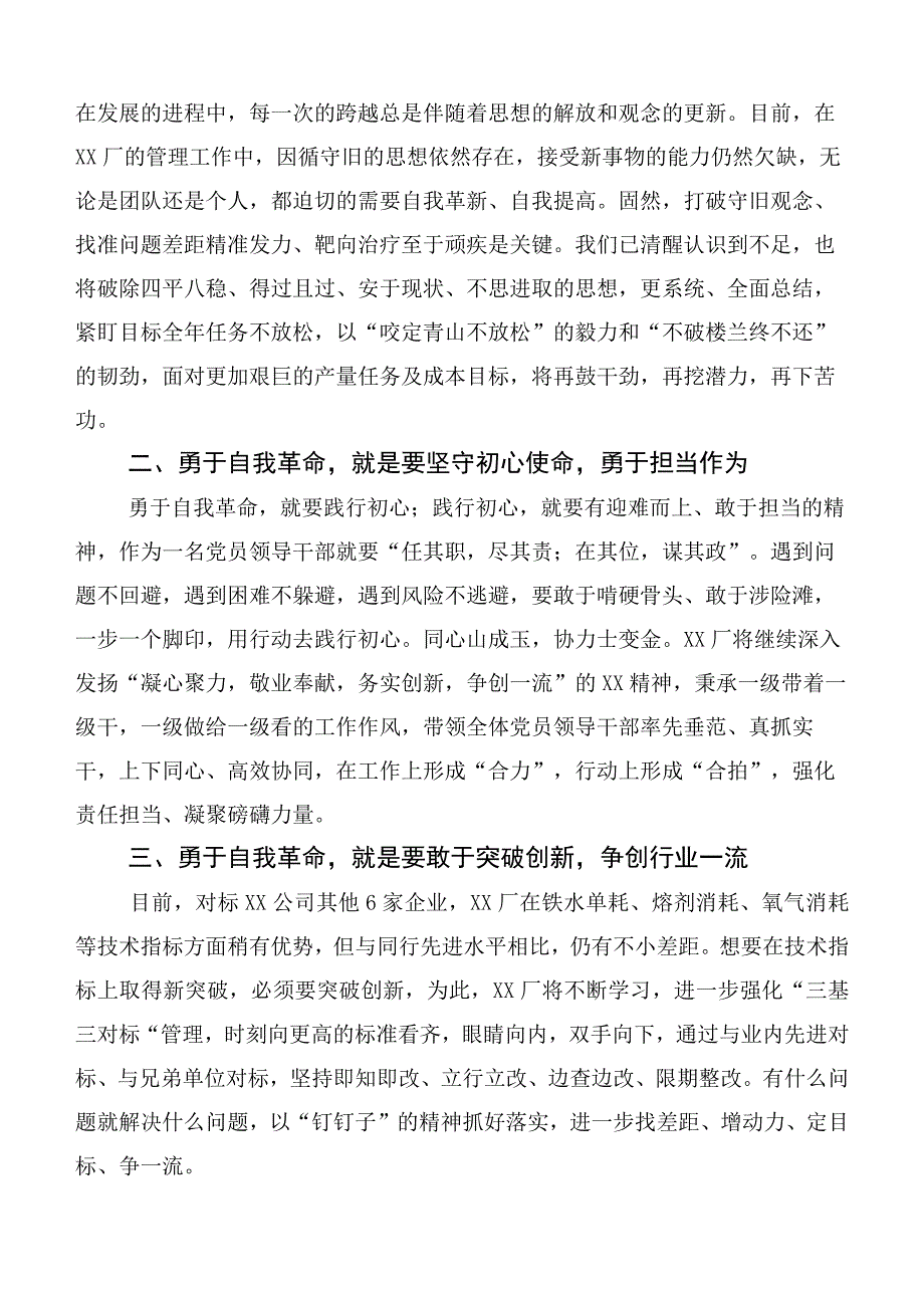 研读论党的自我革命发言材料十篇.docx_第3页