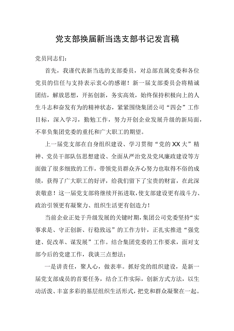 新当选支部书记发言（党支部换届）.docx_第1页