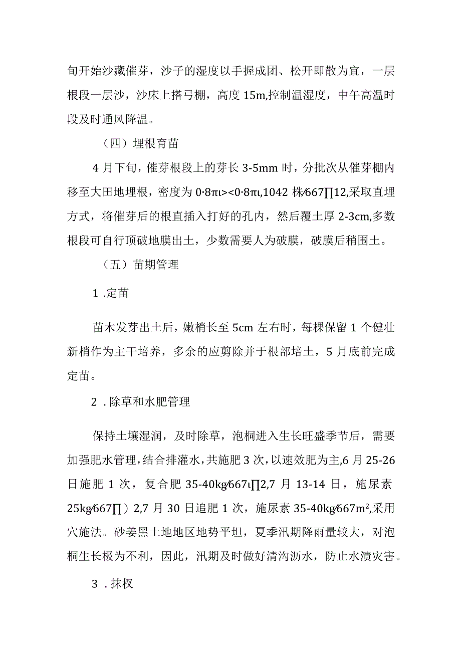 砂姜黑土地泡桐苗木培育技术.docx_第2页