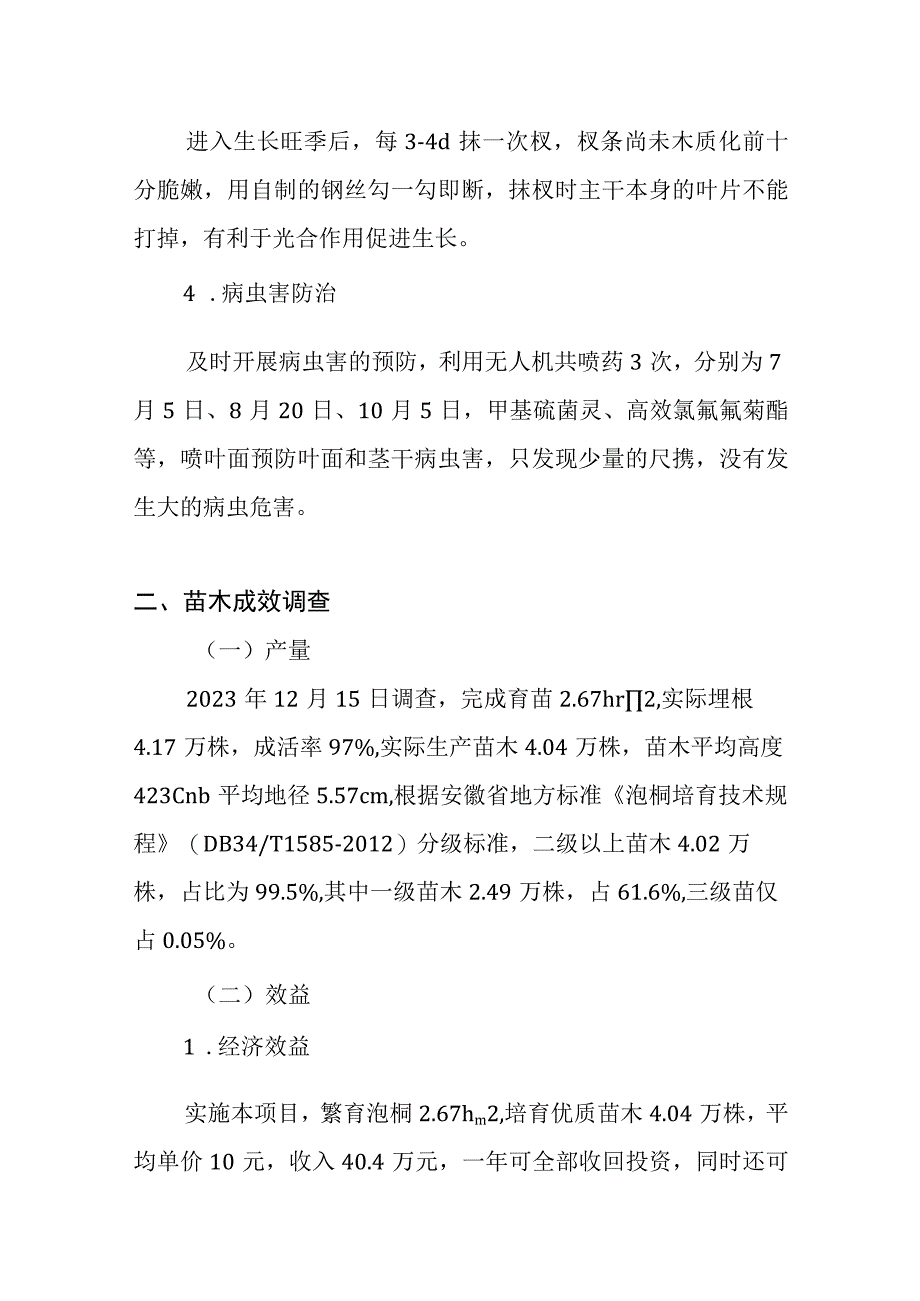 砂姜黑土地泡桐苗木培育技术.docx_第3页