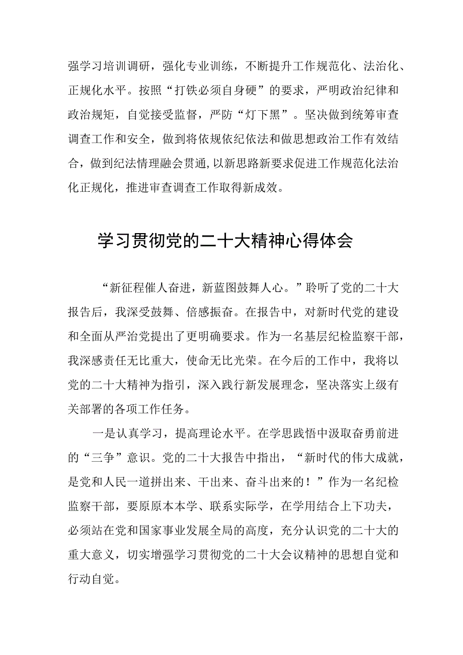 纪检干部深入学习贯彻党的二十大精神心得感悟(十五篇).docx_第3页