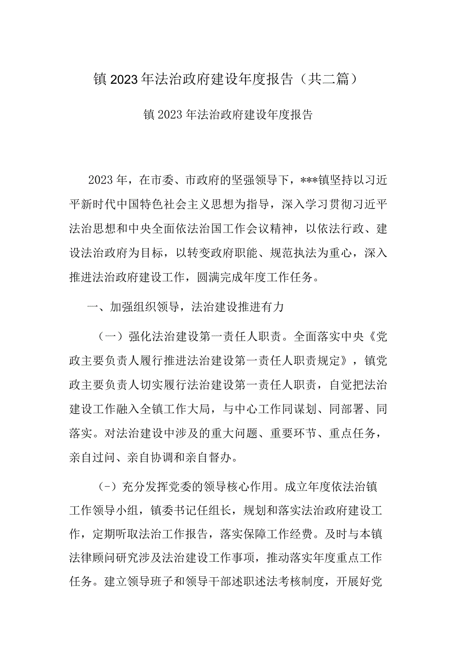 镇2022年法治政府建设年度报告(共二篇).docx_第1页