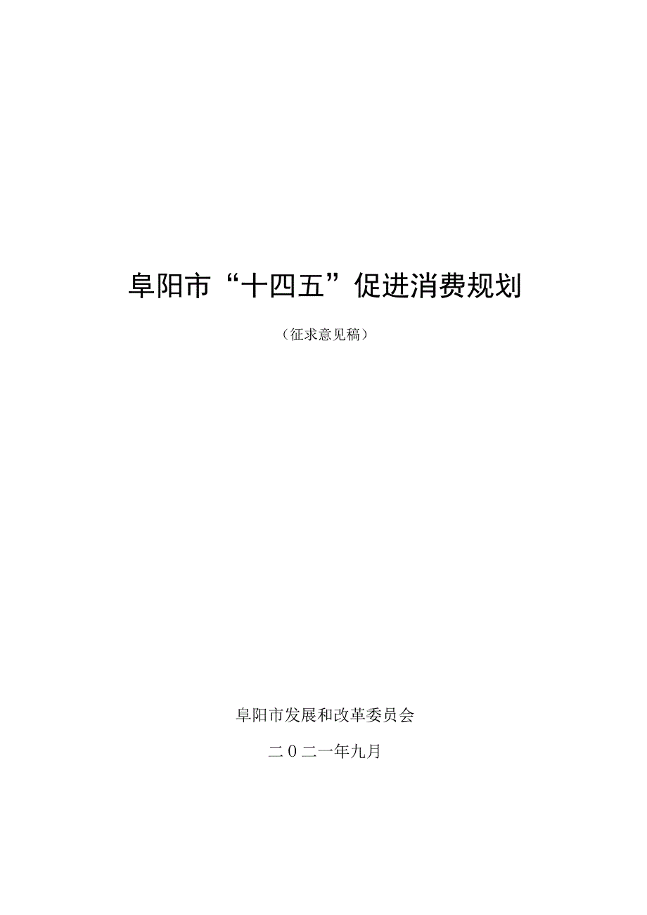 阜阳市“十四五”促进消费规划.docx_第1页