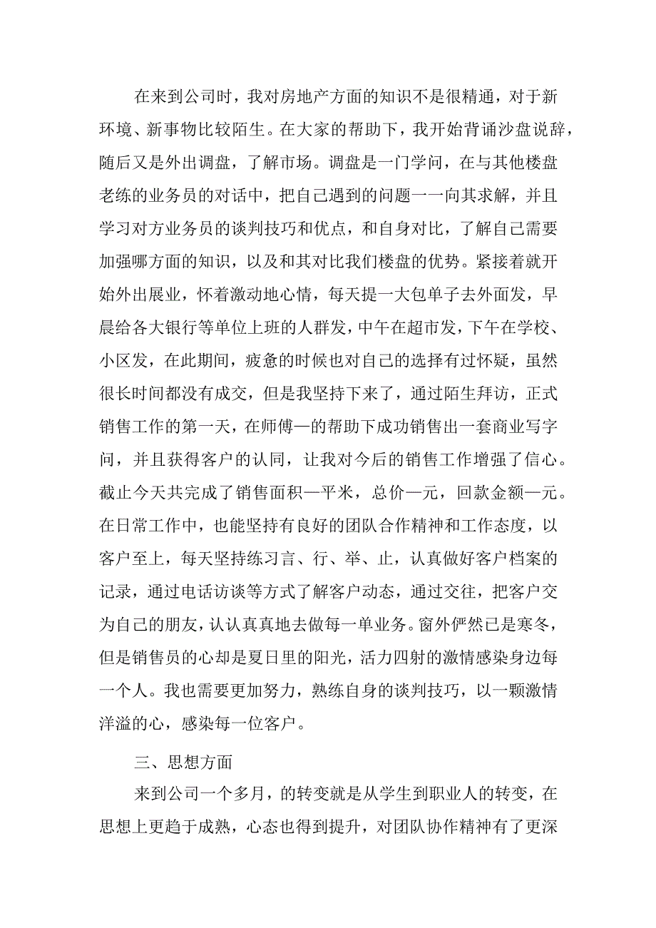 销售工作总结.docx_第2页