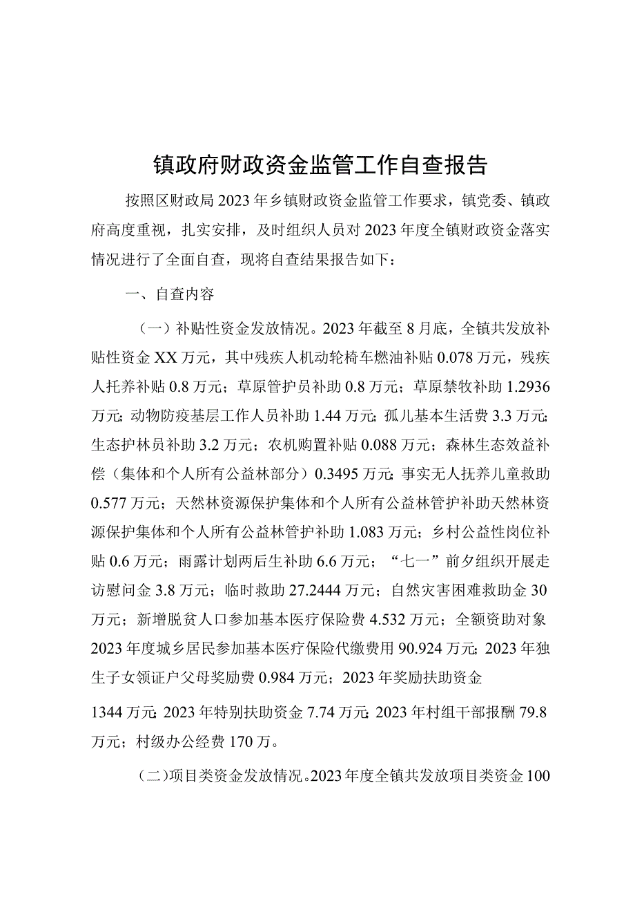 镇政府财政资金监管工作自查报告.docx_第1页