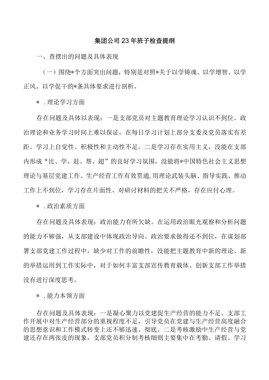 集团公司23年班子检查提纲.docx_第1页